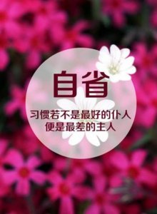 ​清晨的日出的唯美句子 日出唯美短句八个字