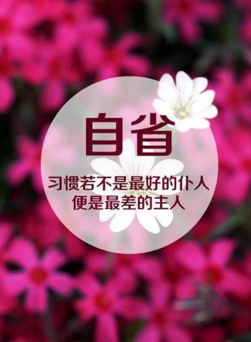 清晨的日出的唯美句子 日出唯美短句八个字