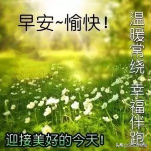 ​朋友圈温馨祝福语慰问暖心的友情句子简短 ，微信早安文字祝福图片大全