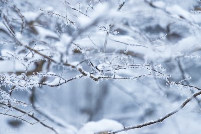 ​适合描写雪景的优美句子文案