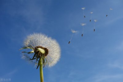 ​勇敢的句子经典语录（勇敢正视挫折的句子，如一束光照亮内心，驱散黑暗）