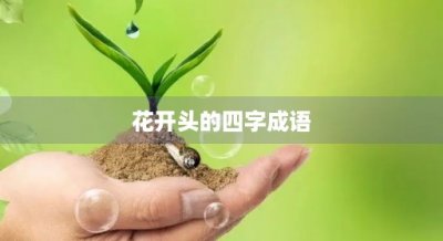 ​花开头的四字成语(愿开头的四字成语)