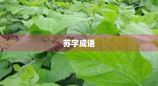 苏字成语