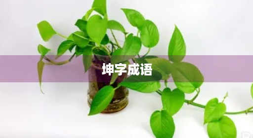 坤字成语