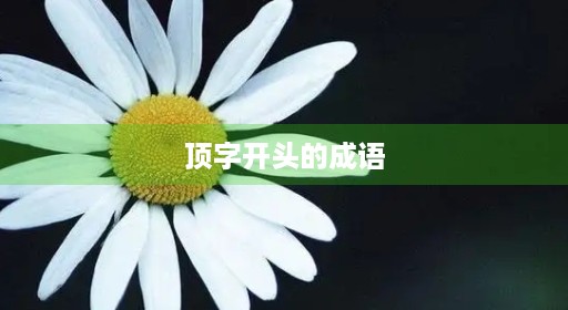 顶字含顶字开头的成语