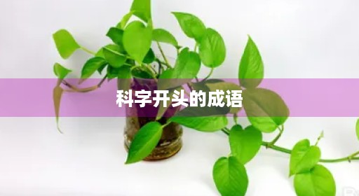 科字开头的成语