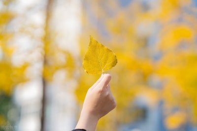 ​有关秋天的句子有哪些（秋天唯美句子文案，精选个性签名）