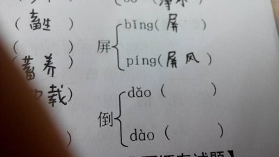 ​绰的多音字组词（绰的读音和组词）