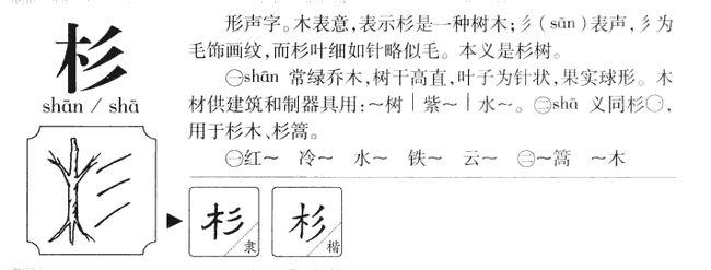 杉字怎么组词（杉字组词有哪些）