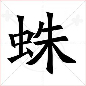 ​蛛组词两个字（蛛组词两个字有哪些）