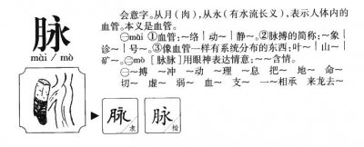 ​脉组词和拼音（脉的精选组词）