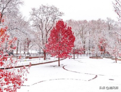 ​关于雪句子发朋友圈（下雪天朋友圈唯美浪漫说说）