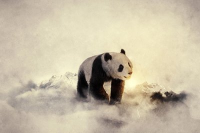 ​下雨发朋友圈的唯美心情说说下雨天的心情经典句子