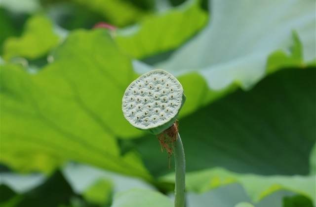 好听唯美诗意的游戏名字大全(共1009个)