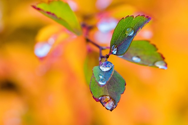 描写雨的词语和句子