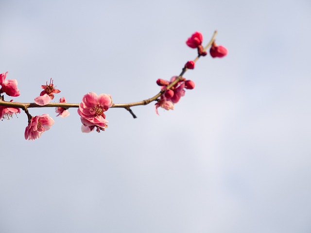 描写老师认真的句子