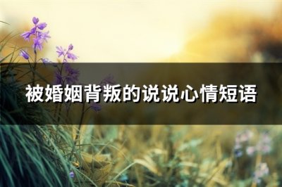 ​被婚姻背叛的说说心情短语(热门71句)