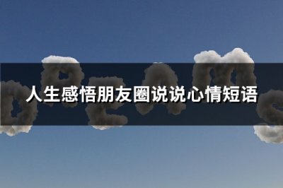 ​人生感悟朋友圈说说心情短语(共84句)