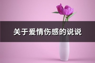 ​关于爰情伤感的说说(共88句)