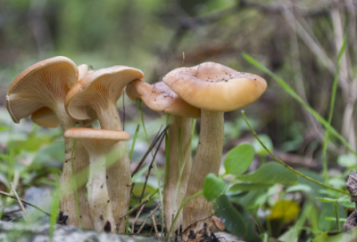 ​下雨天吸引人的朋友圈文案127句