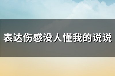 ​表达伤感没人懂我的说说(热门99句)