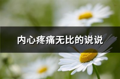 ​内心疼痛无比的说说(汇总85句)