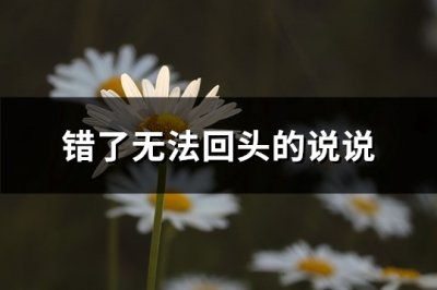 ​错了无法回头的说说