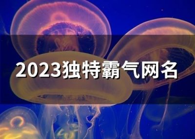 ​2025独特霸气网名(共167个)