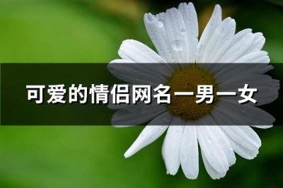 ​可爱的情侣网名一男一女(优选66个)