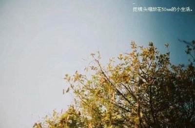 ​毕业送老师贺卡简短句子