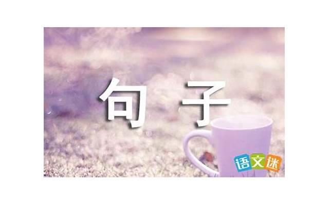 表情包里有表白的句子（表情包组成的表白语句）