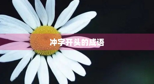 冲字开头的成语