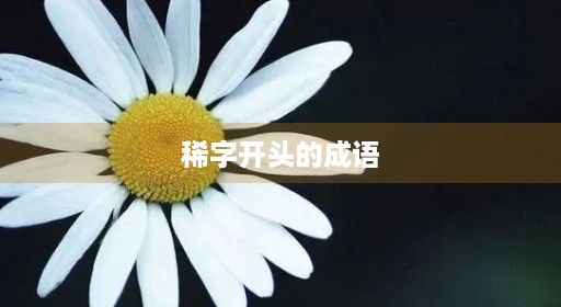 稀字开头的成语