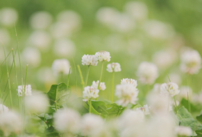 ​物业春节年会活动方案范文