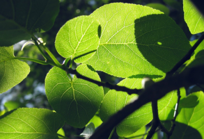 ​家长给老师的一封信范文