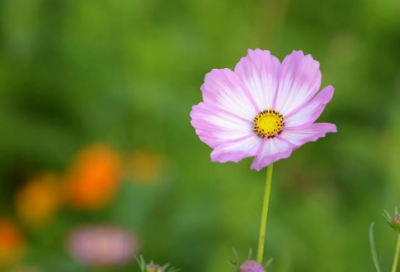 ​有关教师节的说说 有关教师节的正能量说说